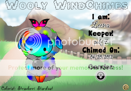 User Image